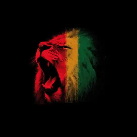 Imagem do grupo 🎼ESTAÇÃO DO REGGAE🇨🇬