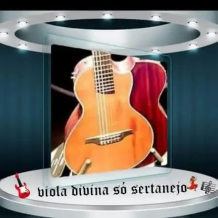 Imagem do grupo 🎸🪗 Viola Divina Sertanejo